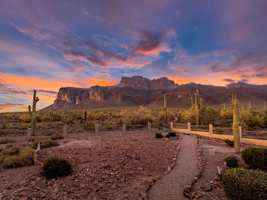 Desert path through native plantings toward mountains at sunset