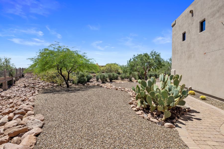 Gravel courtyard with prickly pear cactus and shade tree